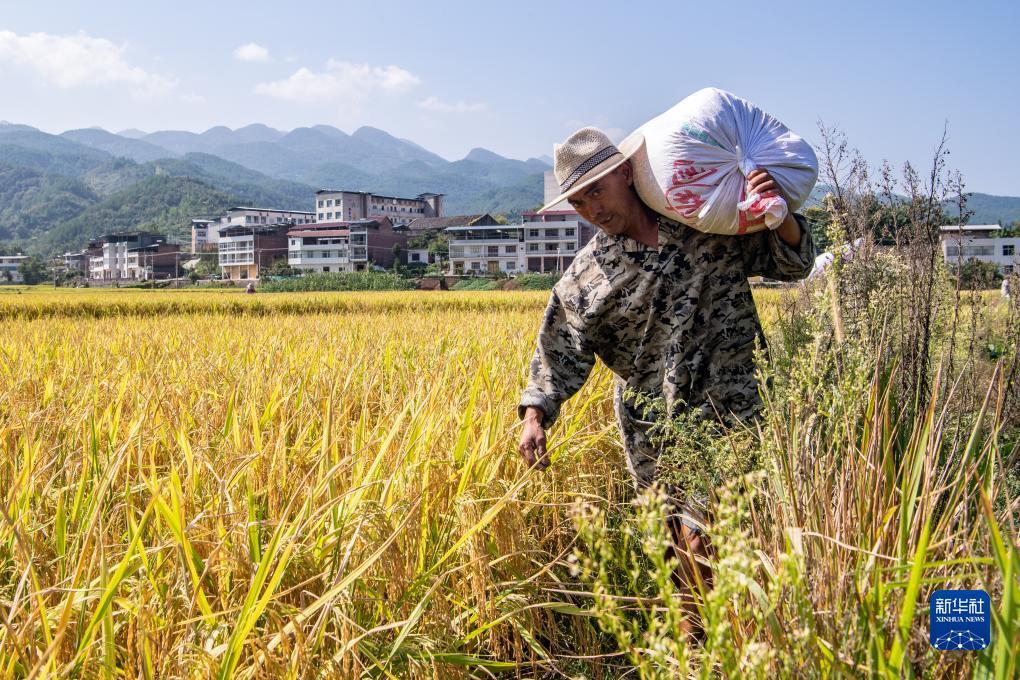 捕鱼捕鱼游戏定制